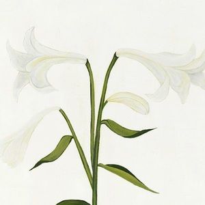 Meet your Posher, Amir